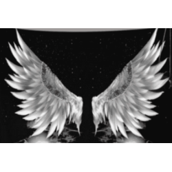 Tapete Alas de Ángel