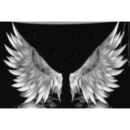 Tapete Alas de Ángel