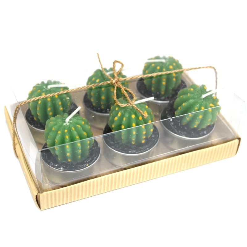Juego de 6 Tealights Cactus Barril en Caja de Regalo