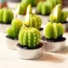 Juego de 6 Velas - Forma de cactus