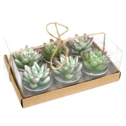 Juego de 6 Tealights Cactus...