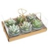 Juego de 6 Tealights Cactus Agave en caja de regalo