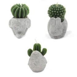 Velas de cactus -...