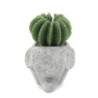 Velas de cactus - Exhibición de macetas de animales (asst)