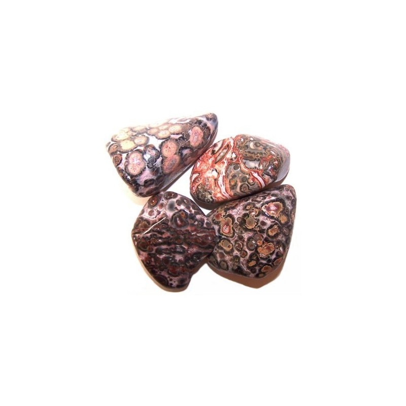 L Tumble Stones - Leopard Skin