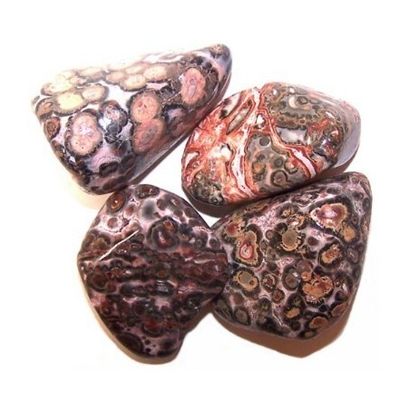 L Tumble Stones - Leopard Skin