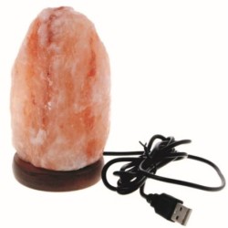 USB LAMPARA SAL 0,6 a 1kg...