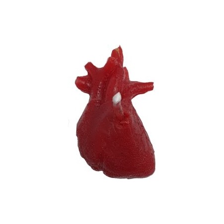 VELA CORAZON órgano Mini, para sanar o castigar