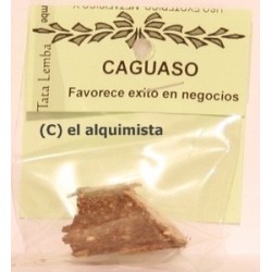 PALO CAGUASO